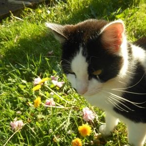 Meet your Posher, Vy